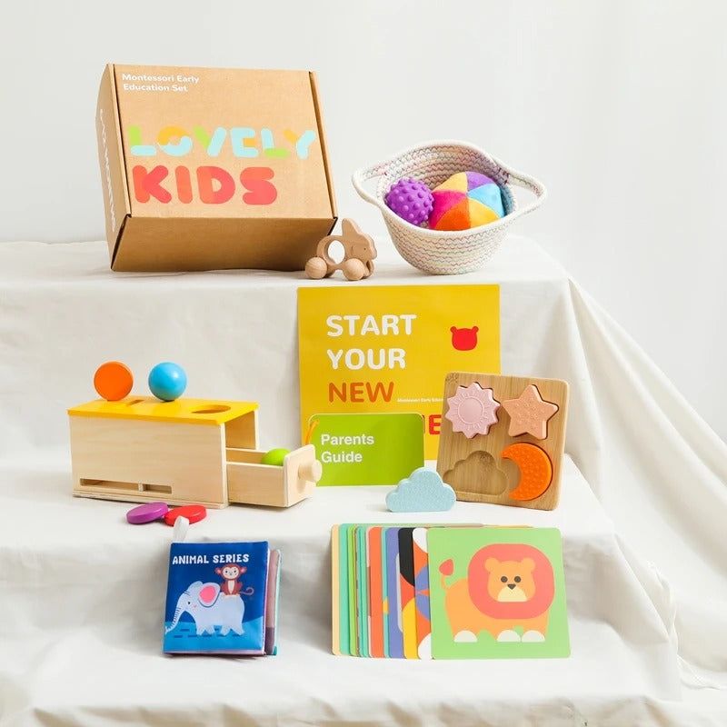 Montessori Sensory & Educational Toy Set for Infants Aged 6-12 Months - OFunBuds