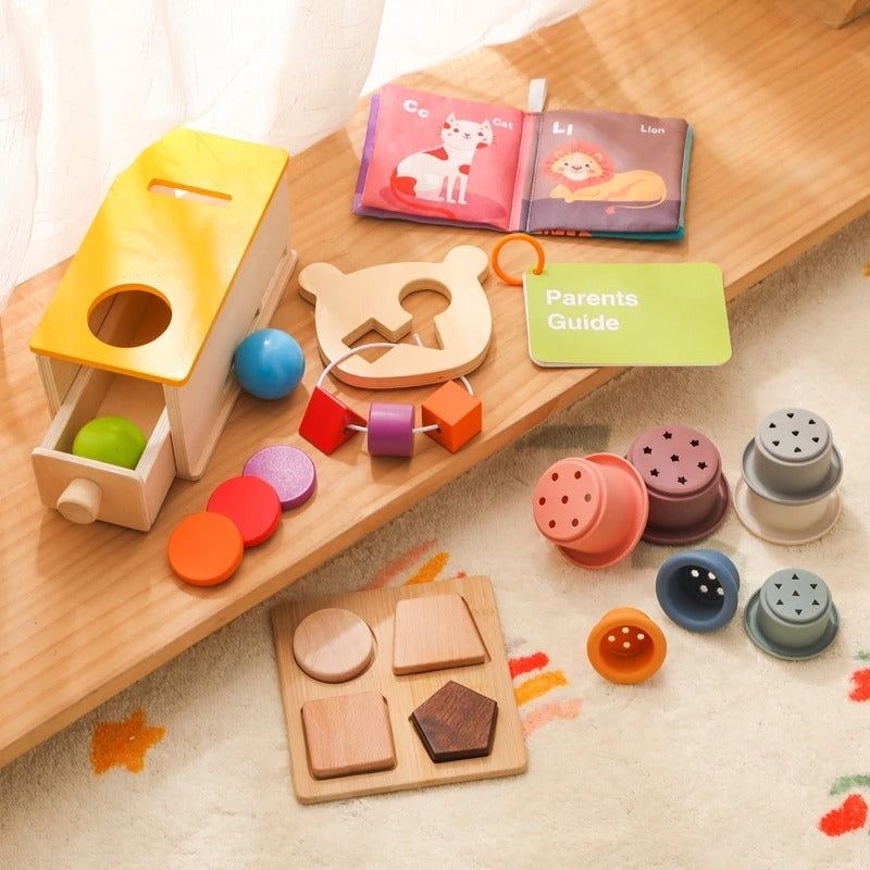 Montessori Sensory & Educational Toy Set for Infants Aged 6-12 Months - OFunBuds