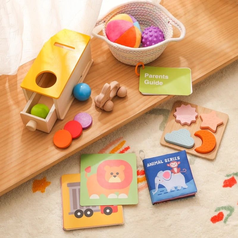 Montessori Sensory & Educational Toy Set for Infants Aged 6-12 Months - OFunBuds