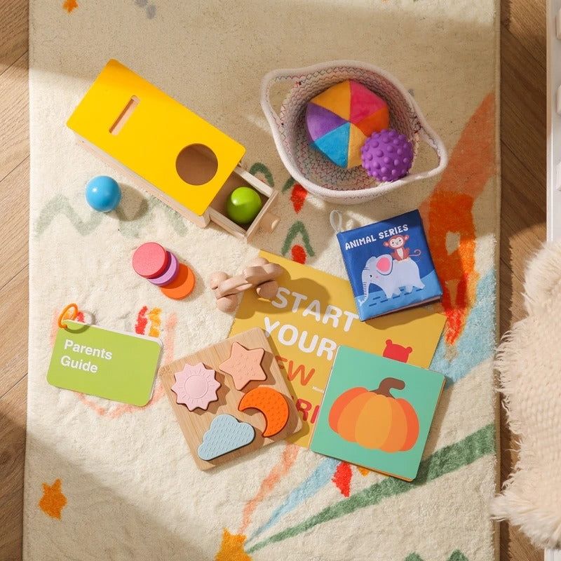 Montessori Sensory & Educational Toy Set for Infants Aged 6-12 Months - OFunBuds